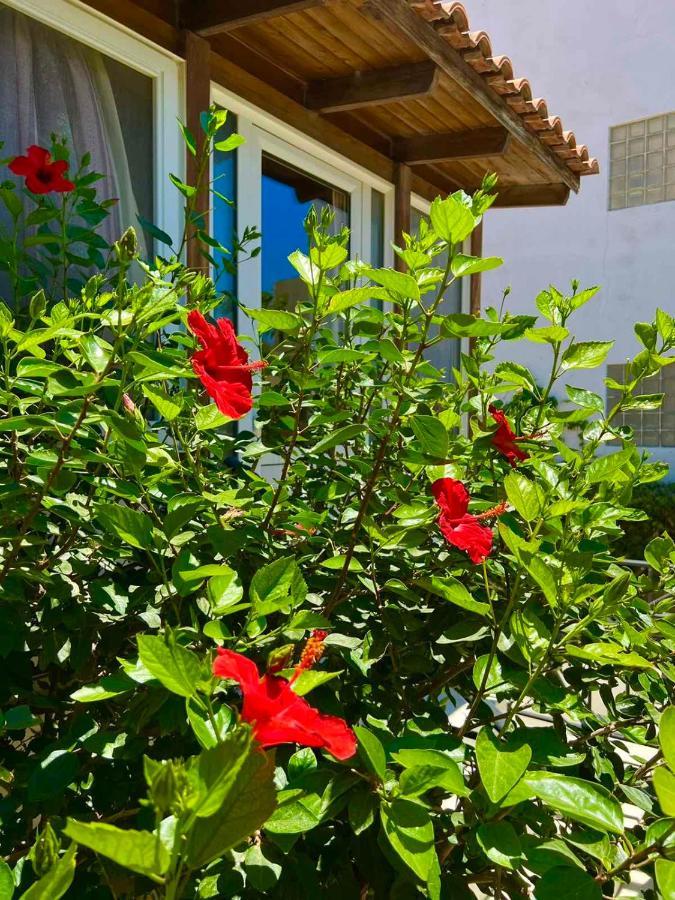 Cherrywood Creta Apartment Ιεράπετρα Εξωτερικό φωτογραφία